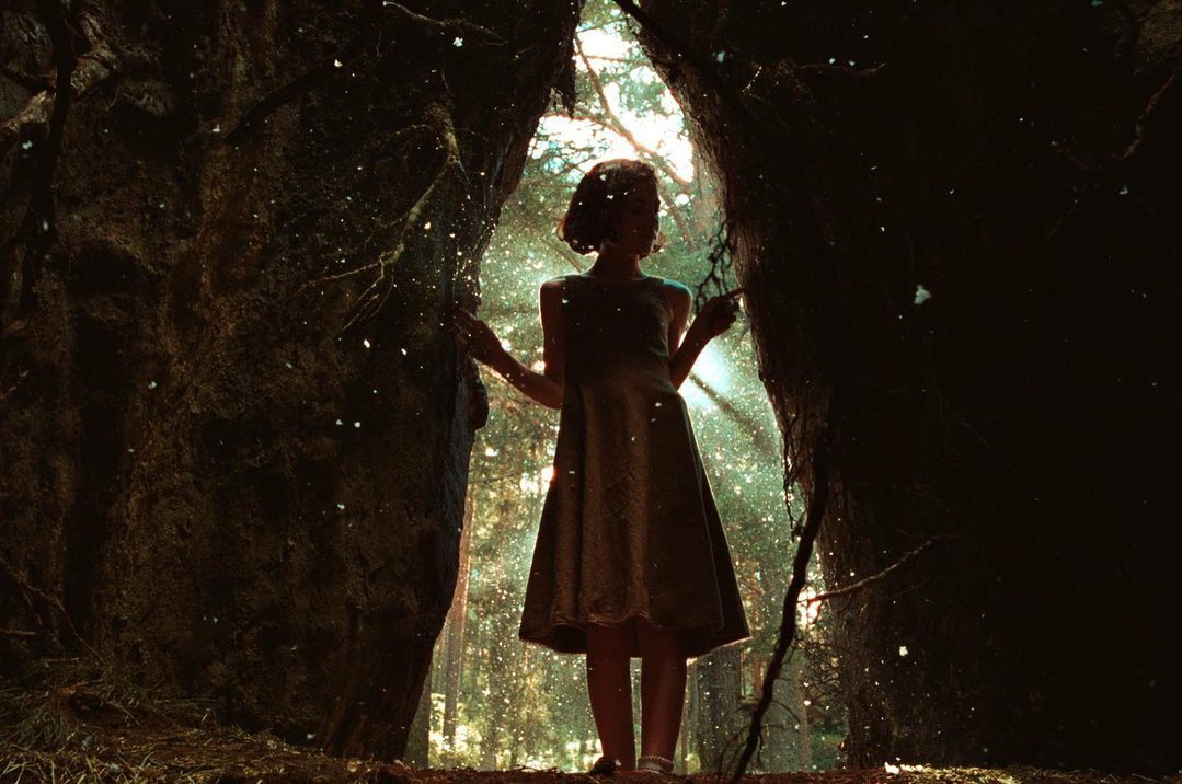 Pan’s Labyrinth scene still 1